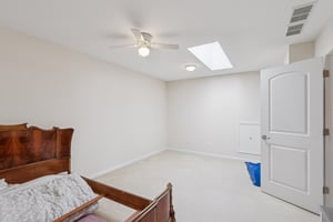 S Aster Ln-S1902-035.jpg