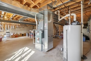 S Aster Ln-S1902-037.jpg