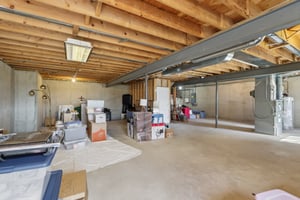 S Aster Ln-S1902-038.jpg