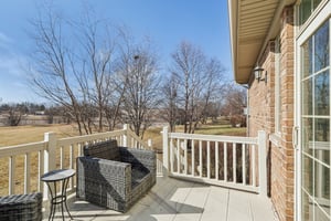 S Aster Ln-S1902-041.jpg