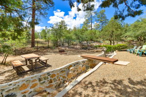 Backyard (2)