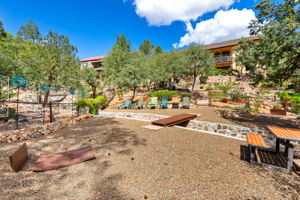 Backyard (1)