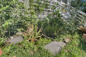  Photo 51