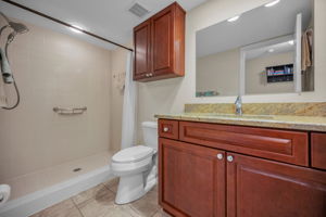 Lower Level Bonus Room Bathroom
