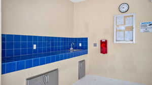  Photo 49
