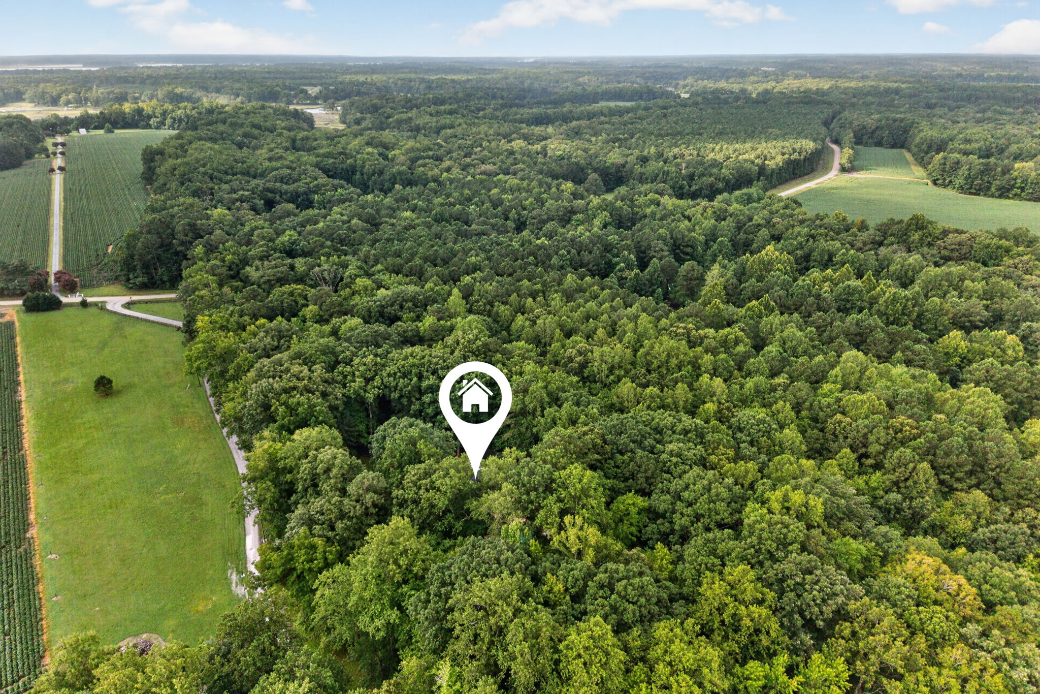  Photo 66