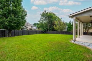 Fully fenced in Back Yard