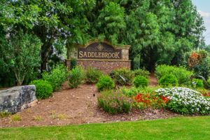 Swim Community in the Great County of Forsyth