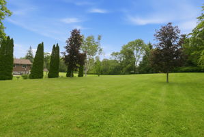  Photo 50