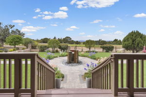 Deck View