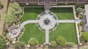Birds Eye (2)