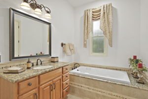 Bathroom 2 (2)