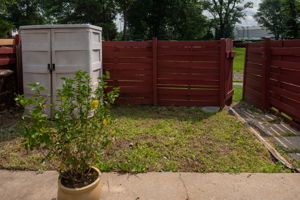  Photo 52