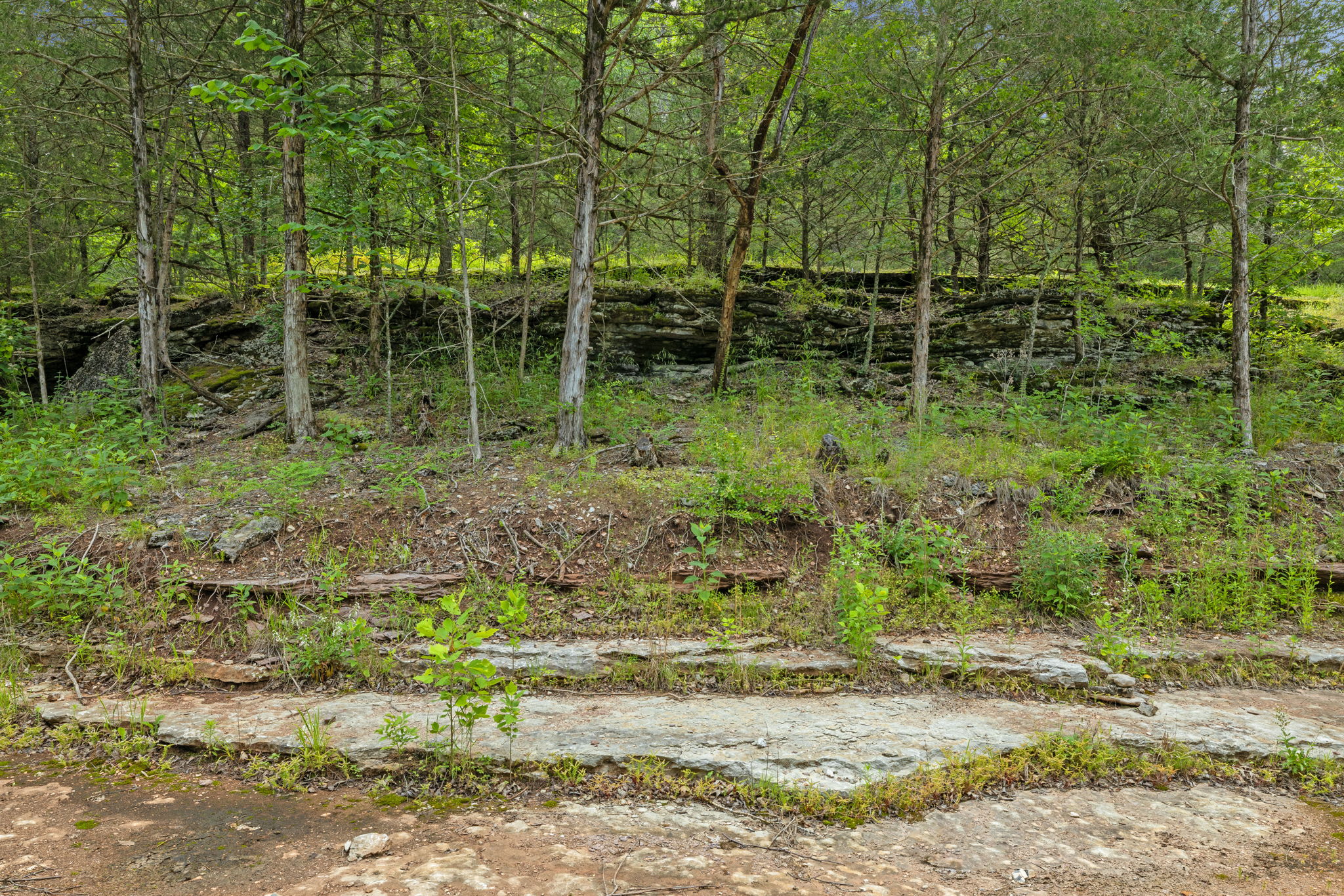  Photo 25