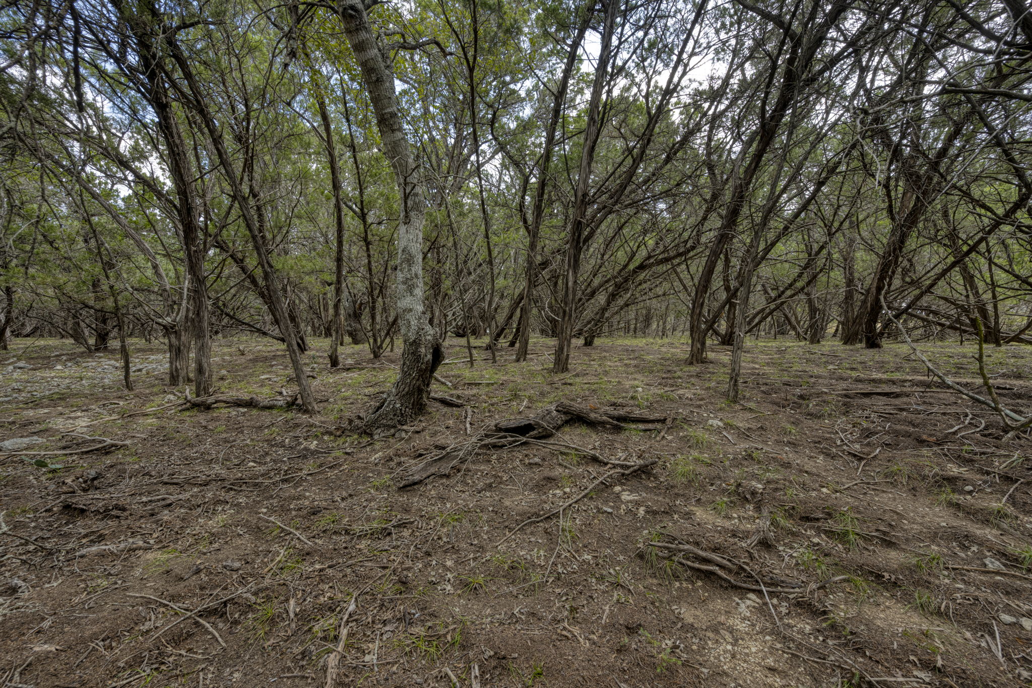  Photo 44