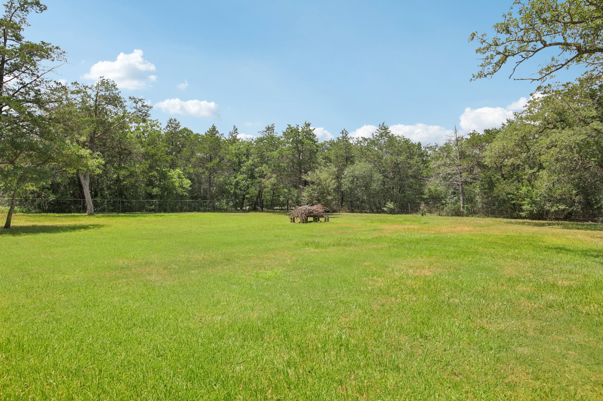 Backyard + almost anothr acre beyond rear fence!
