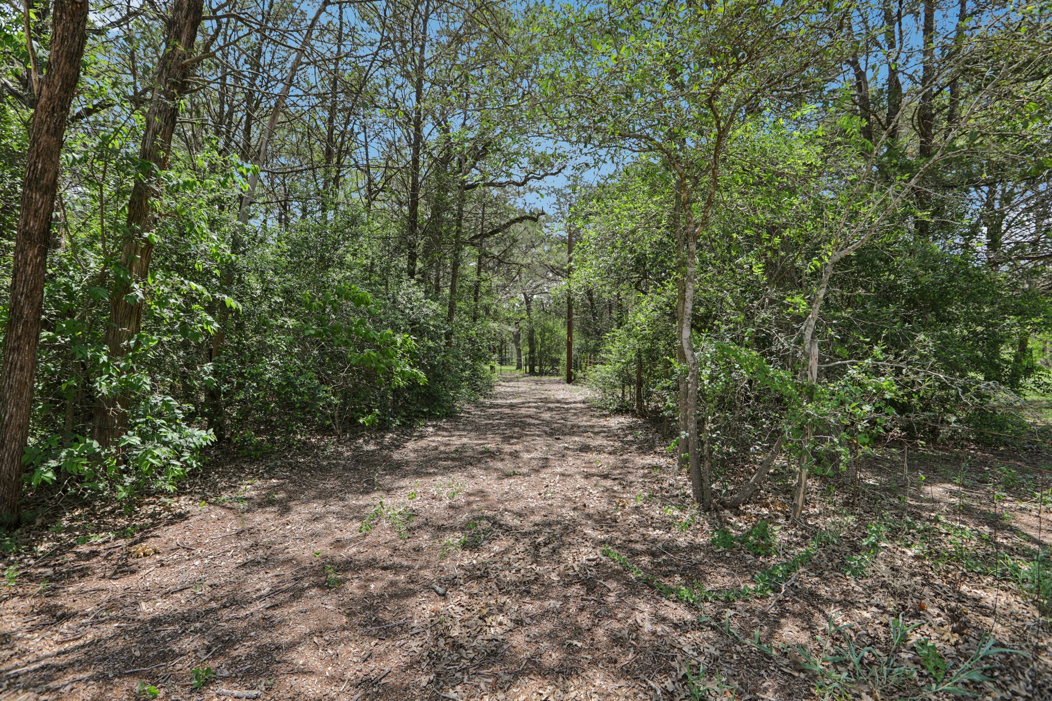 2nd drive gated access to backyard