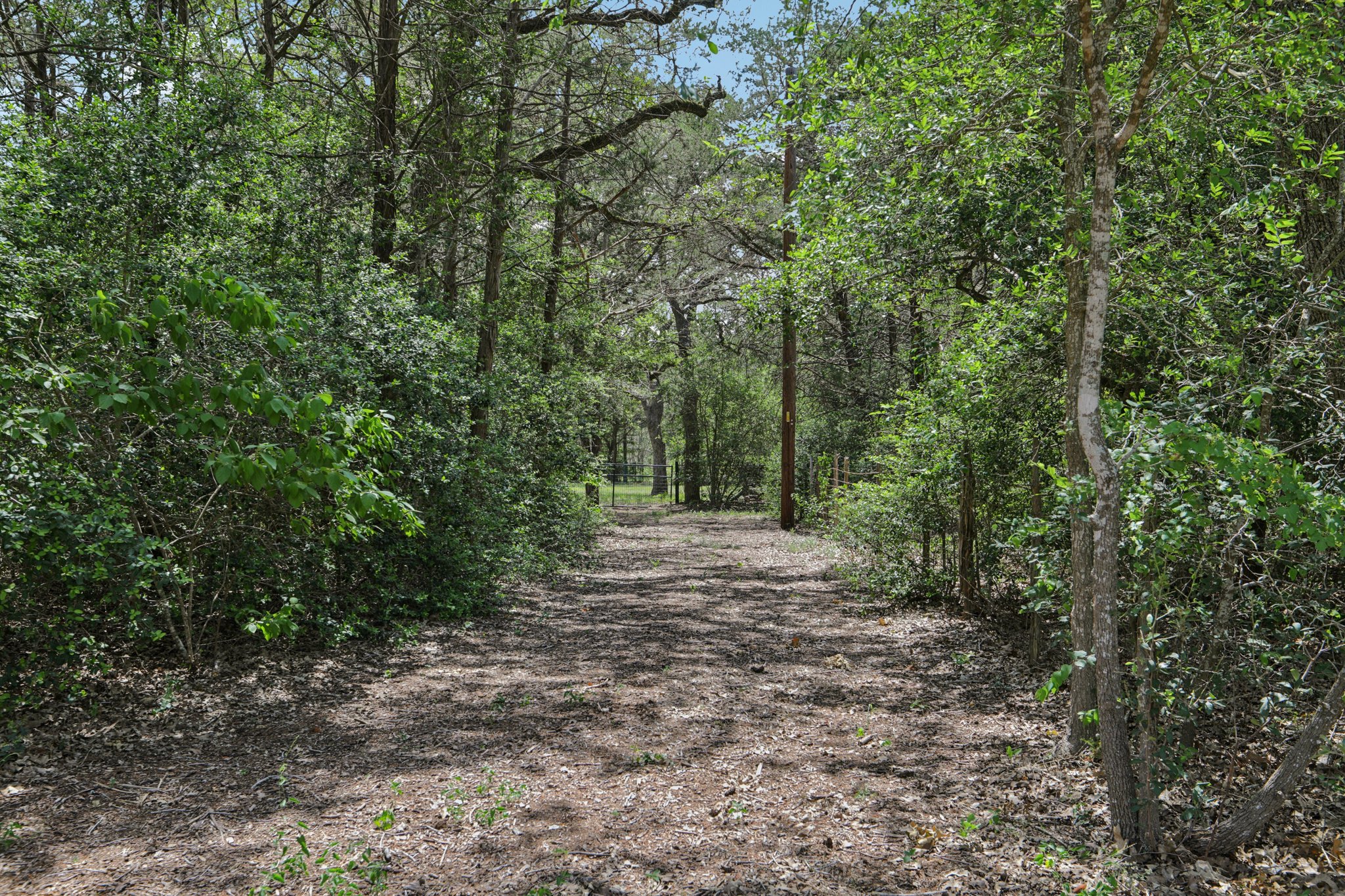2nd drive gated access to backyard