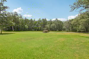 Backyard + almost anothr acre beyond rear fence!