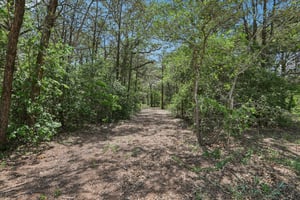 2nd drive gated access to backyard