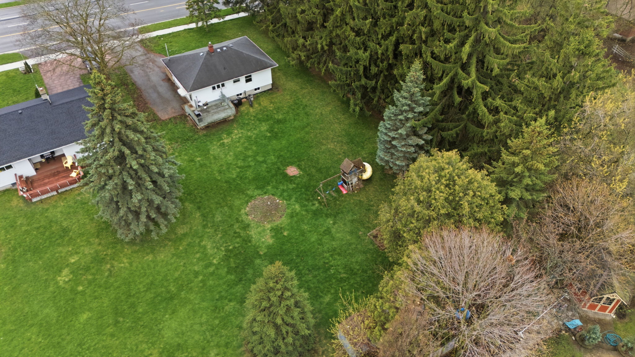  Photo 41