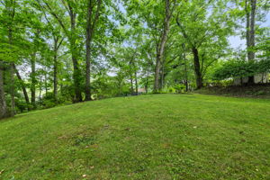  Photo 50