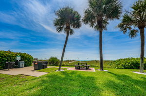 Grilling Area1