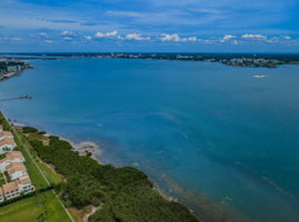 Aerial (14)