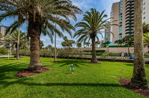 Dog Walk Area