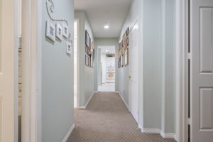 Downstairs Hallway