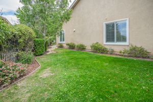 Side Yard