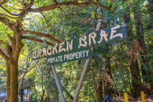 Bracken Brae