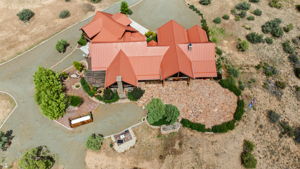 Birds Eye
