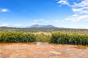 Patio View
