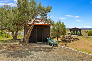 Shed