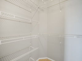  Photo 50