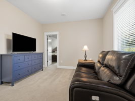 Bedroom #5 (sitting area/media room)