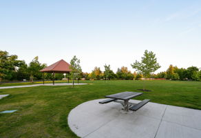  Photo 79