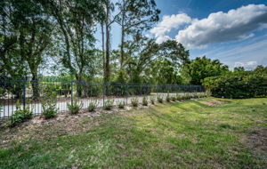 Backyard3