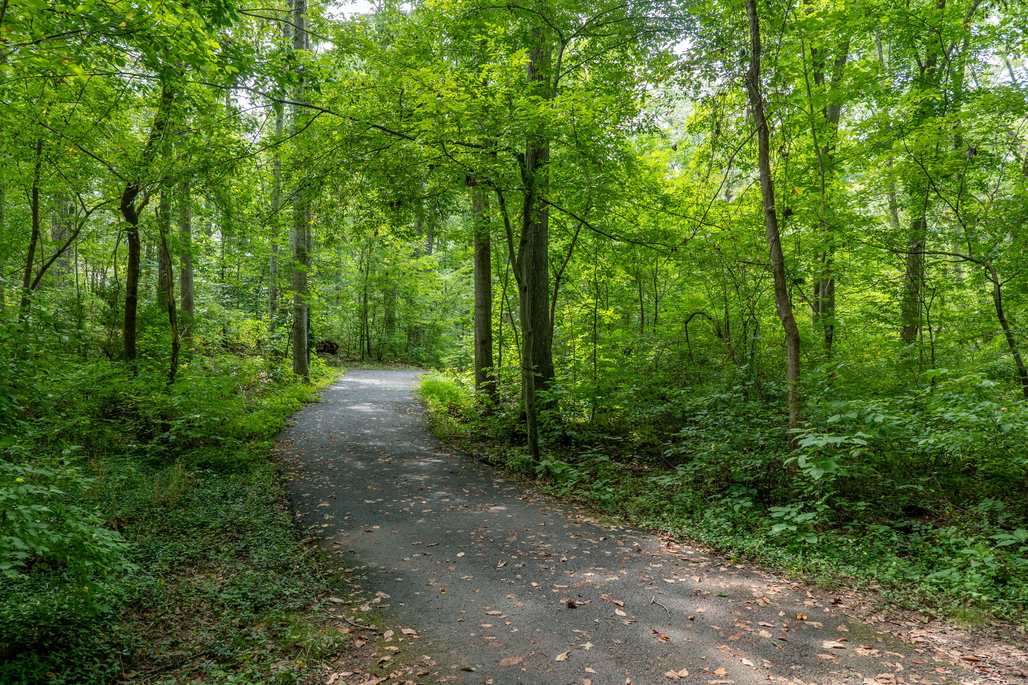 Neighborhood amenities