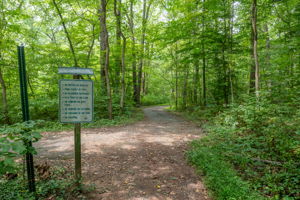 Neighborhood amenities