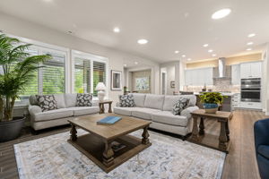Open concept entertainment living room