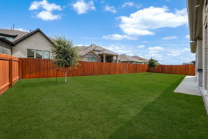  Photo 39