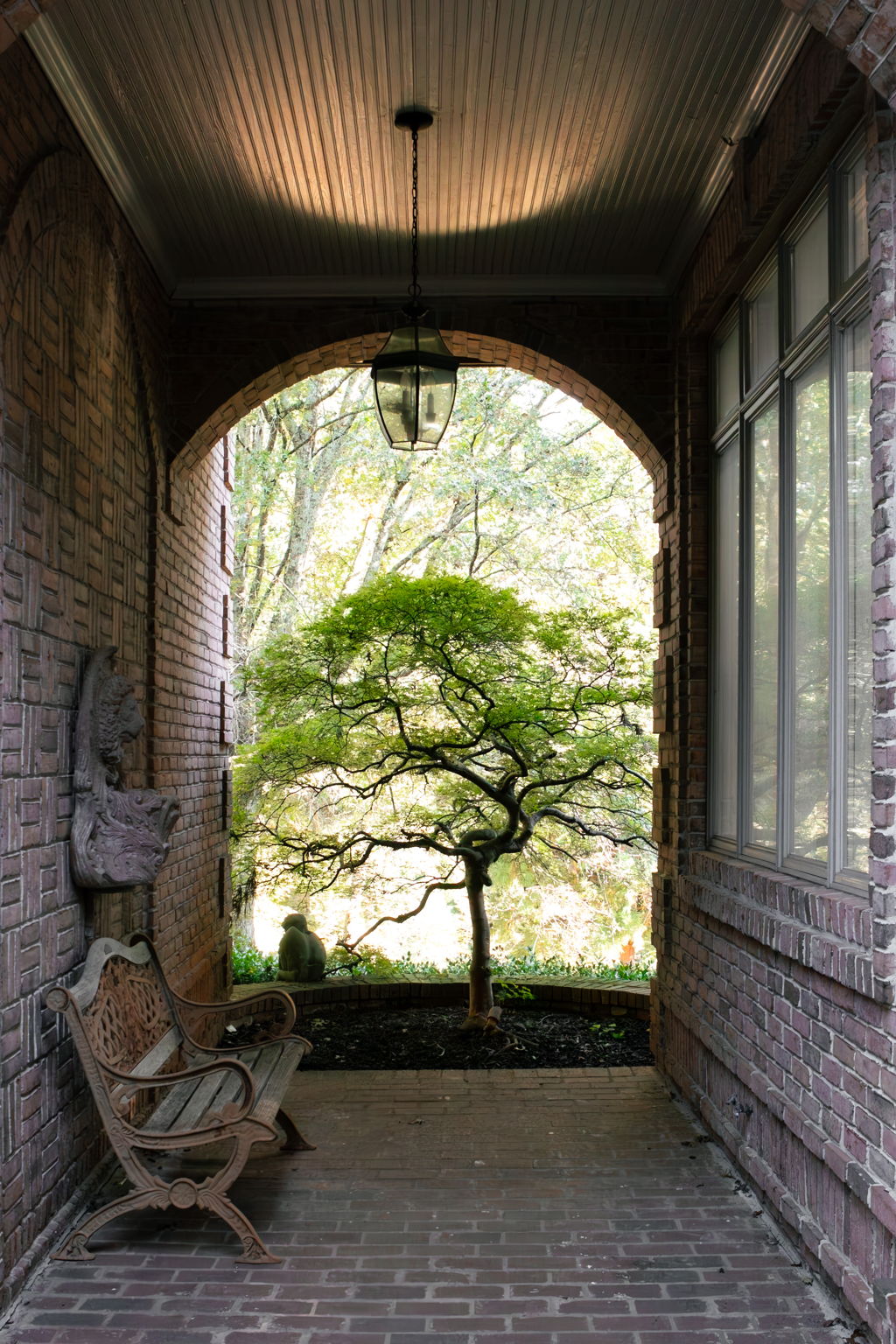 Photo 42