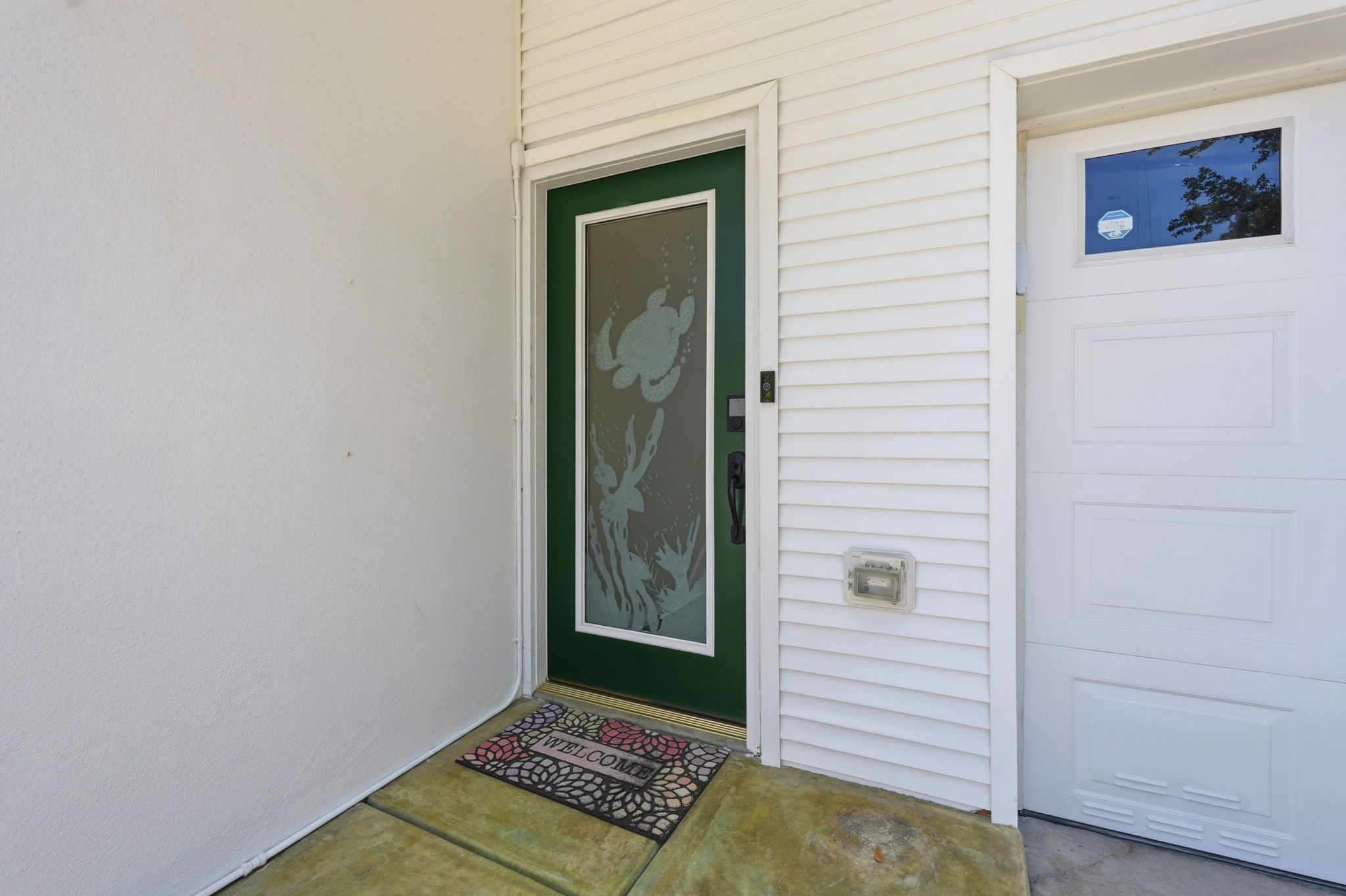 Etched Front Door