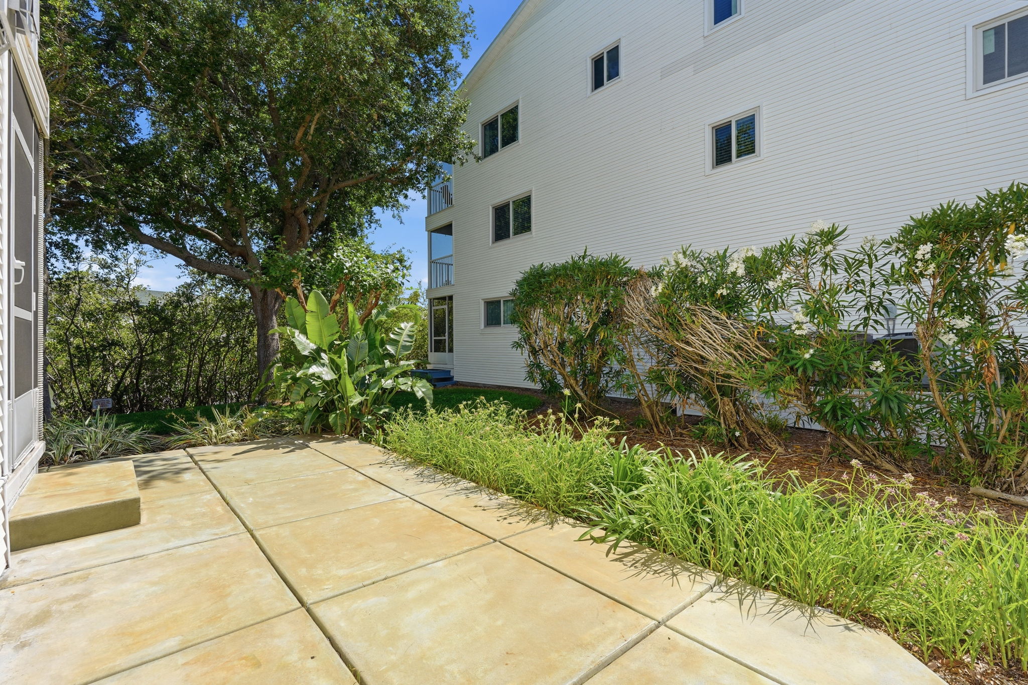 Concrete Patio