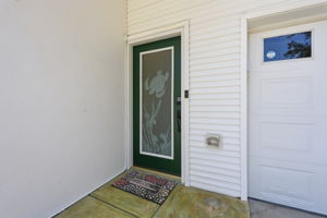 Etched Front Door