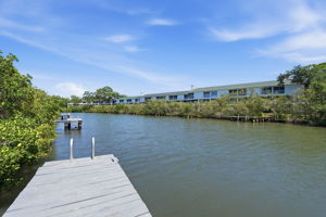 Sit on the dock and watch for dolphin, manatee, otter & Spoonbill