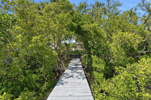 Dock to the Canal
