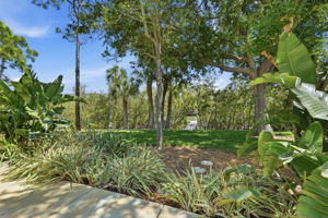 Love this green space behind the townhouse